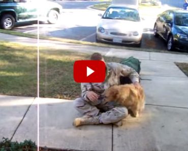 Soldier Welcomed Home By His Dog
