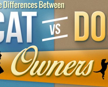 Differences Between Cat and Dog Owners