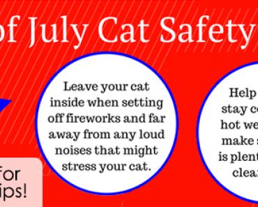 4th of July Cat Safety Tips