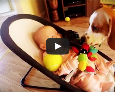 Charlie the Dog Steals his Human Baby Sister's Toy