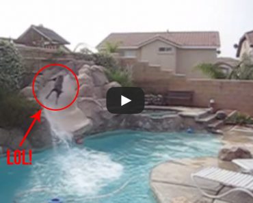This dog loves the water slide more than kids do!
