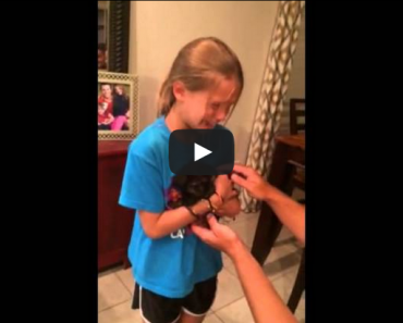 Girl Surprised with Puppy - Her Reaction Is Priceless!