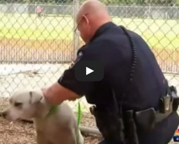 Police Save Dog