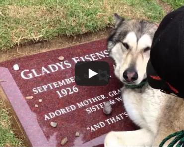 Sad Dog at Graveside