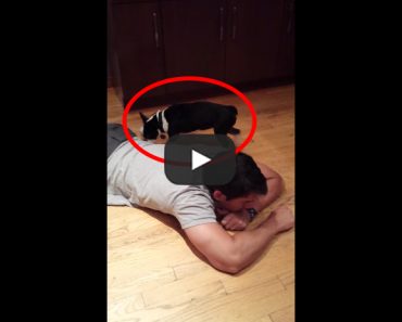 This man rescued a terrified Boston Terrier. Watch what happened.