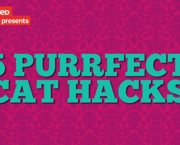 Cat-Hacks-BuzzFeed,jpeg