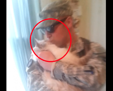 cat-reunited-with-soldier