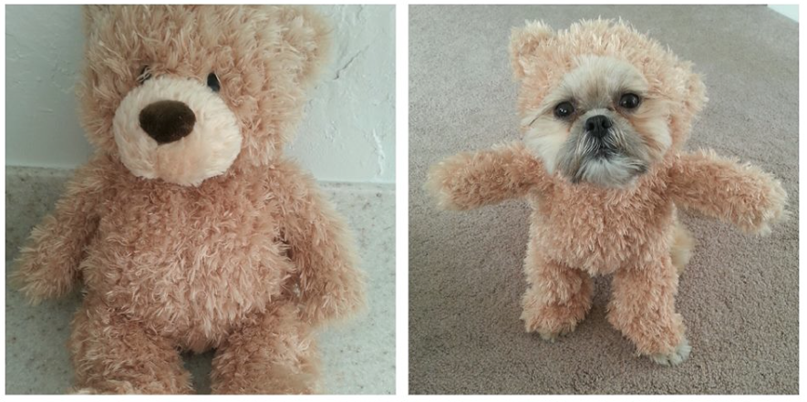 stuffed animal dog costume