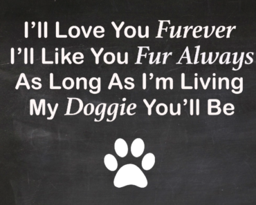 Beautiful-Dog-Quote