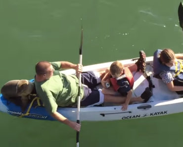 Sea lion kayak