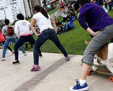 Otto The Skateboarding Bulldog Guinness World Record