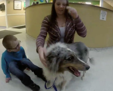 Dog and Boy Re-United After Life-Saving Surgery