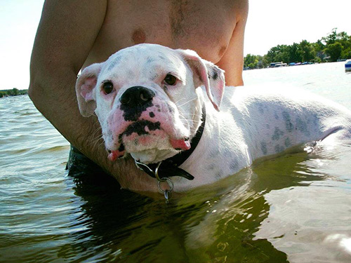 Benny swimming with John