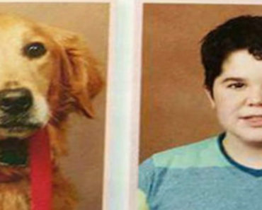 Dog gets yearbook photo