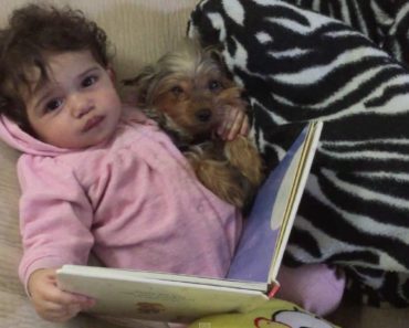 Baby and Puppy Read Bedtime Story