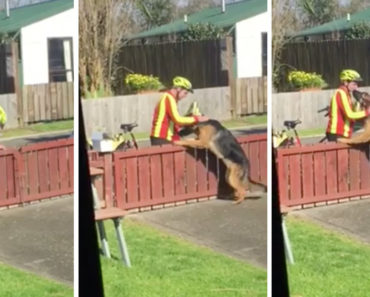 Mailman and Dog