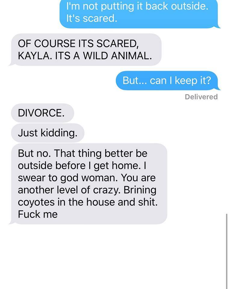 coyote text joke