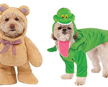 Pet Halloween Costumes