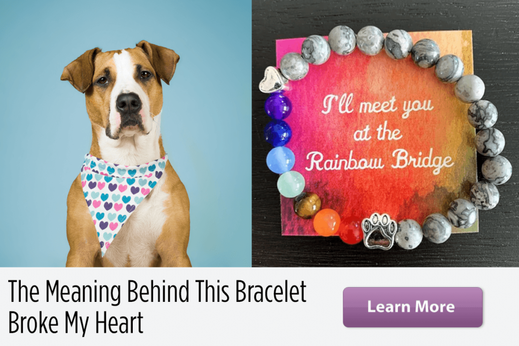 Dogs Rainbow Bridge Natural Stone Bracelet