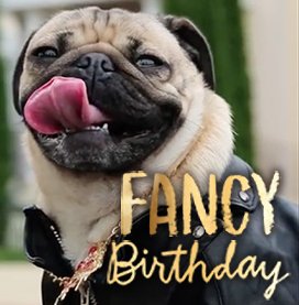 Doug the Pug Fancy Birthday Ecard