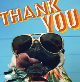 Doug the Pug Gratitude Attitude Ecard